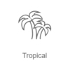 Record Tropical  