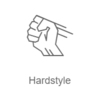 Record Hardstyle  