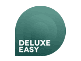 Deluxe Easy Radio  